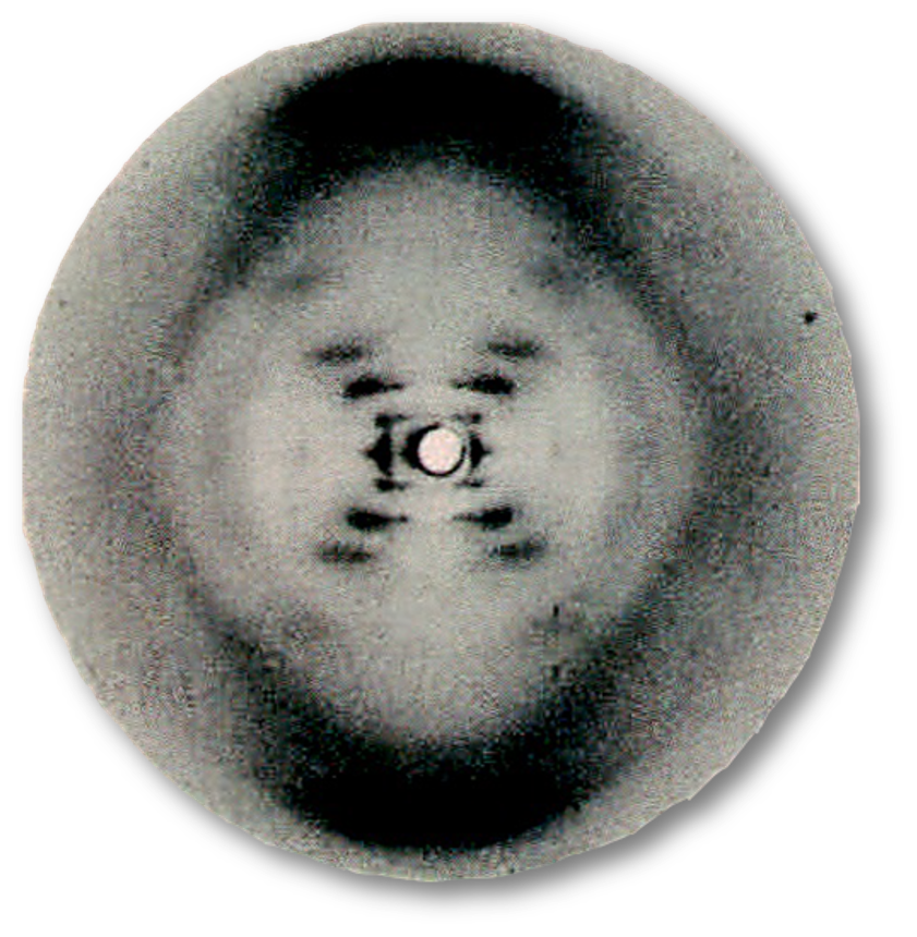 Photo 51 - DNA X射线衍射照片